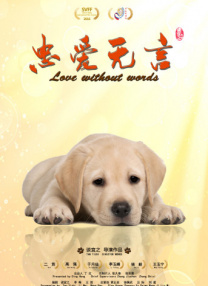 一区二区视频网